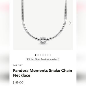 Pandora necklace